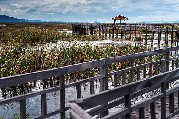 포토 JPG 해외이미지 나무 식물 구름 공원 길 호수 여행 태국 자연 하늘 휴식 산 연꽃 풍경 사람없음 야외 목재 초록색 물 파란색 강 여행객 환경 맑음 고요 산책 연못 습지 내추럴 석회암 전국 해외202004 해외포토 자연요소 공공시설 꽃 아시아 컬러 컨셉 재료 날씨 사람 암석 생태계 파일형식 이미지허브
