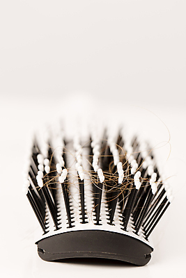 포토 JPG 해외이미지 근접촬영 사람없음 뷰티 머리카락 머리빗 흰배경 헤어관리 두피케어 탈모 탈모클리닉 해외202004 탈모예방 해외포토 뷰포인트 백그라운드 머리 흰색 미용용품 예방 클리닉 증상 파일형식 이미지허브