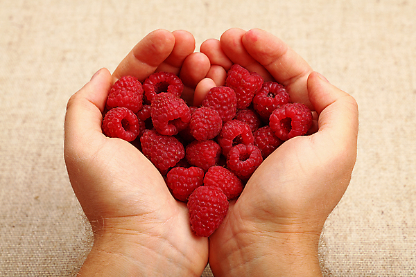 포토 JPG 해외이미지 모양 열매 음식 2 농업 과일 건강 관리 사랑 사람없음 빨간색 수확 하트 시골 신선 닫기 먹기 각도 산딸기 캔버스 내추럴 숙성 제안 해외202004 해외포토 식물 감정 산업 컬러 모션 파일형식 이미지허브