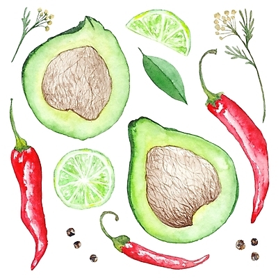 포토 JPG 해외이미지 손 음식 백그라운드 다이어트 토마토 채소 일러스트 재료 고추 수채화 건강 요리 미술 사람없음 빨간색 초록색 세트 페인트 수확 흰색 신선 뜨거움 고수 수집 향신료 복고 날것 라임 후추 성분 아보카도 고립 과카몰리 그런지 채식주의자 해외202004 해외포토 컬러 농업 과일 문화예술 신체부위 소스_음식 채식 향미료 파일형식 이미지허브