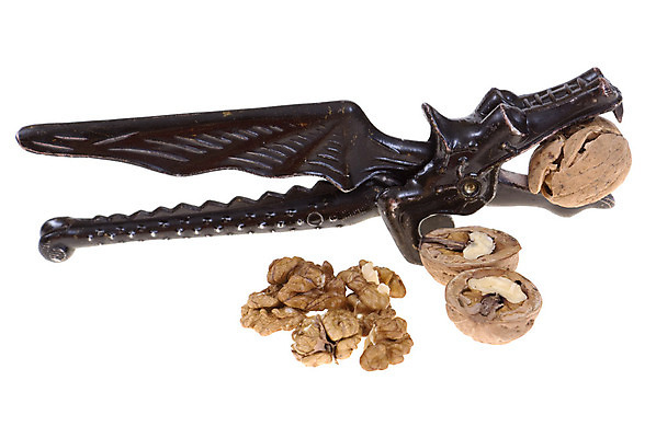 포토 JPG 해외이미지 음식 과일 사람없음 갈색 금속 주방 힘 견과류 껍질 공구 균열 철 오브젝트 단절 철강 해외202004 해외포토 컬러 모션 재질 도구 파일형식 이미지허브