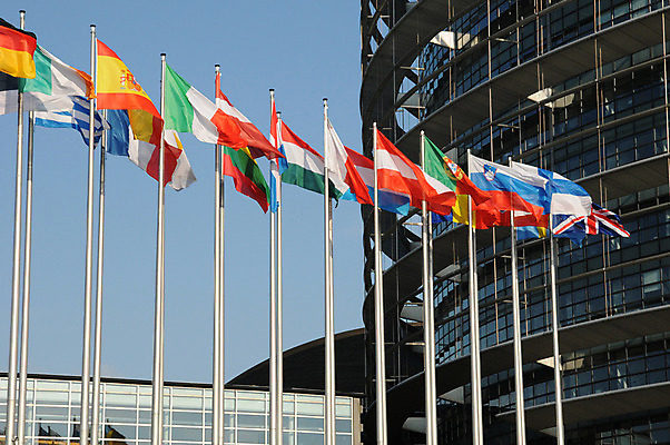 포토 JPG 해외이미지 유럽 사람없음 건물 힘 프랑스 깃발 오르간 민주주의 기관 정책 스트라스부르 해외202004 해외포토 건축물 나라 건반악기 파일형식 이미지허브