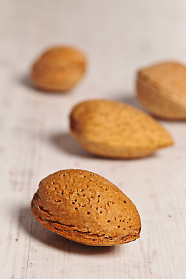 포토 JPG 해외이미지 음식 과일 사람없음 견과류 껍질 맛 먹기 아몬드 흙더미 개암나무 단백질 해외202004 해외포토 나무 컨셉 모션 흙 영양소 파일형식 더미 이미지허브