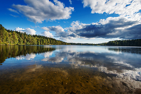 포토 JPG 해외이미지 나무 식물 구름 호수 백그라운드 잎 꽃무늬 자연 하늘 건강 핀란드 풍경 사람없음 목재 가로 초록색 물 여름 파란색 노란색 환경 침묵 봄 거울 연못 눈송이 황무지 습지 숲 장면 내추럴 파라다이스 해외202004 해외포토 자연요소 계절 꽃 컬러 무늬 재료 눈_날씨 북유럽 소리 생태계 파일형식 이미지허브