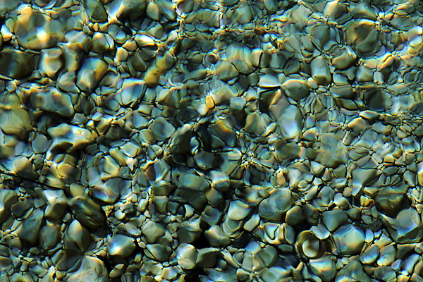 포토 JPG 해외이미지 나무 백그라운드 패턴 자연 추상 풍경 사람없음 야외 초록색 물 여름 강 반사 쌓기 환경 화목 침묵 젖음 흐름 조약돌 바위 신선 액체 개울 떨어짐 시원함 홍수 질감 내추럴 생태학 완전 해외202004 해외포토 자연요소 식물 계절 교육 컬러 컨셉 무늬 모션 소리 돌_바위 자연재해 생태계 파일형식 이미지허브