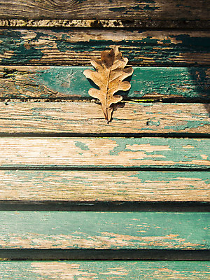 포토 JPG 해외이미지 백인 라이프스타일 커플 공원 여자 남자 행복 스포츠 2 모션 아침 함께함 건강 사람 성인 사람없음 야외 운동복 달리기 조깅 운동 우주 기차 가을 흰색 도시 개 몸무게 날씬함 연습 달리기선수 소셜 해외202004 해외포토 주간 서양인 옷 계절 공공시설 감정 육상교통 컬러 컨셉 포유류 관계 대중교통 생활 몸매 육상선수 파일형식 이미지허브