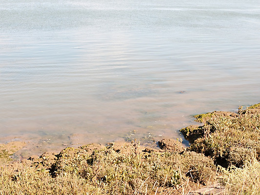 포토 JPG 해외이미지 나무 식물 모래 파도 바다 여행 백그라운드 자연 하늘 날씨 영국 잉글랜드 풍경 사람없음 야외 물 여름 파란색 항구 맑음 바위 흰색 만 서핑 빨래 땅 관목 격파 수평선 해외202004 해외포토 자연요소 계절 유럽 컬러 가사 교통시설 모션 돌_바위 수상스포츠 생태계 파일형식 이미지허브