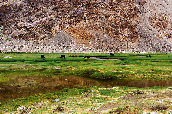 포토 JPG 해외이미지 동물 아시아 여행 밭 자연 하늘 산 풍경 사람없음 물 관광지 강 바위 개울 내추럴 해외202004 해외포토 자연요소 나라 농업 돌_바위 생태계 파일형식 이미지허브