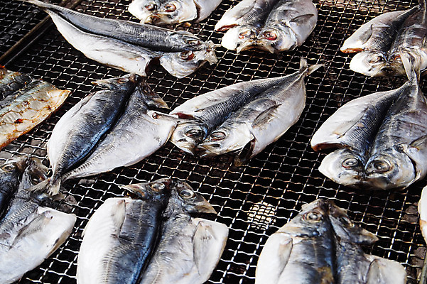 포토 JPG 어류 사람없음 그릴 해산물 생선구이 석쇠구이 일본음식 국내포토 음식 주방용품 수중동물 구이 생선요리 파일형식