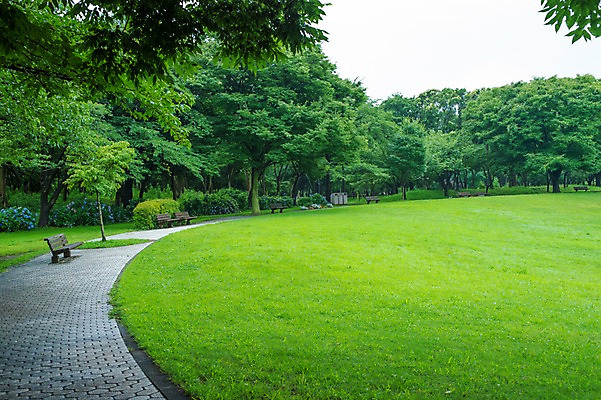 포토 JPG 주간 나무 공원 벤치 자연 풍경 잔디 사람없음 야외 일본 산책로 국내포토 자연요소 식물 공공시설 아시아 길 의자 생태계 파일형식