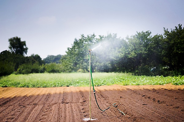 포토 JPG 주간 나무 밭 자연 사람없음 야외 물 농경지 농사 일본 분무 스프링쿨러 국내포토 자연요소 식물 아시아 농업 농장 생태계 파일형식