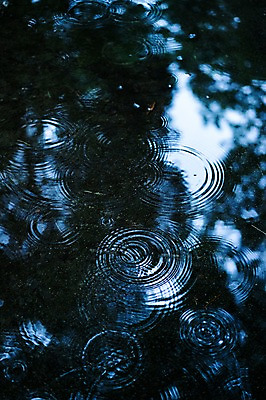 포토 JPG 주간 백그라운드 자연 바닥 사람없음 야외 물 비 파동 국내포토 자연요소 날씨 순간포착 생태계 파일형식