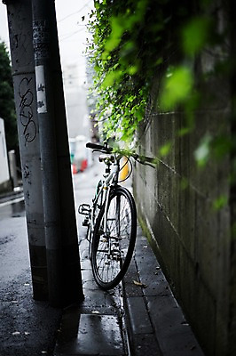 포토 JPG 주간 잎 거리 거리풍경 풍경 사람없음 야외 아웃포커스 담장 도시풍경 일본 자전거 도시 비 골목길 주차 전봇대 국내포토 자연요소 식물 공공시설 아시아 길 날씨 촬영기법 바이크 파일형식