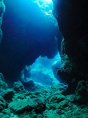 포토 JPG 바다 자연 풍경 사람없음 바닷속 수중 바위 동굴 수중동굴 수중사진 국내포토 돌_바위 생태계 파일형식