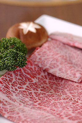 포토 JPG 접시 식재료 파슬리 생고기 육류 근접촬영 사람없음 아웃포커스 버섯 소고기 국내포토 식기 뷰포인트 채소 촬영기법 파일형식