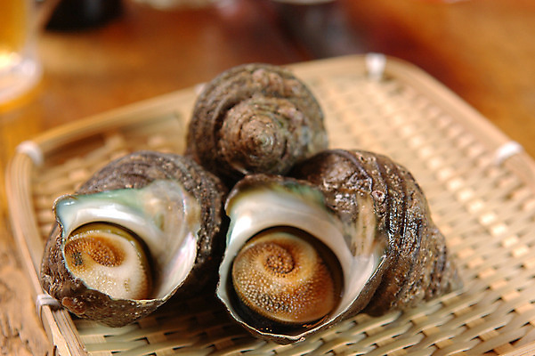 포토 JPG 음식 근접촬영 사람없음 아웃포커스 광주리 해물요리 소라 해산물 국내포토 뷰포인트 어패류 촬영기법 바구니 파일형식