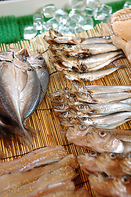 포토 JPG 식재료 어류 사람없음 아웃포커스 얼음 전시 소프트포커스 해산물 대나무발 생선포 국내포토 자연요소 촬영기법 수중동물 포 파일형식