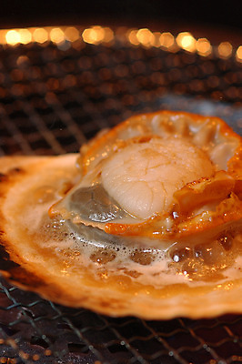 포토 JPG 음식 조개 근접촬영 사람없음 아웃포커스 해물요리 그릴 구이 해산물 가리비 조개구이 일본음식 국내포토 뷰포인트 주방용품 어패류 촬영기법 파일형식