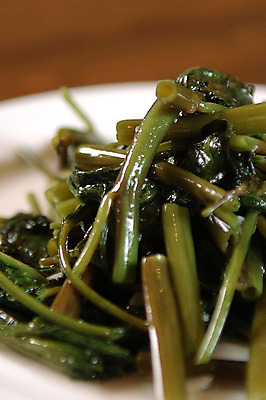 포토 JPG 접시 음식 채소 근접촬영 사람없음 아웃포커스 무침 기름기 일본음식 국내포토 식기 뷰포인트 촬영기법 파일형식