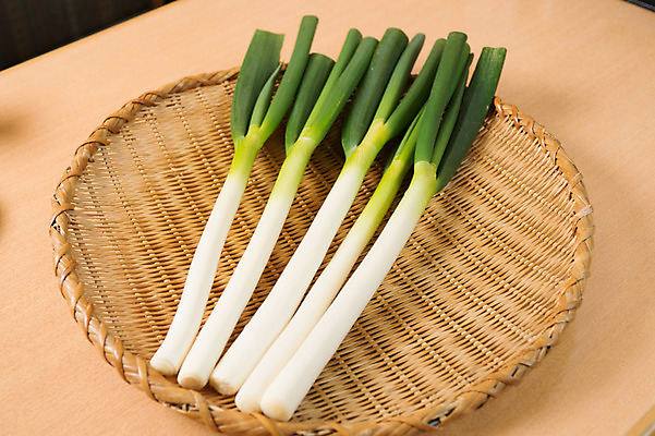 포토 JPG 채소 식재료 사람없음 소쿠리 대파 국내포토 바구니 파 파일형식