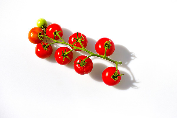 포토 JPG 채소 식재료 방울토마토 그림자 누끼 사람없음 빨간색 신선 국내포토 컬러 토마토 파일형식