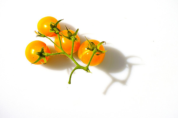 포토 JPG 채소 식재료 방울토마토 그림자 누끼 사람없음 주황색 신선 국내포토 컬러 토마토 파일형식