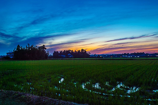 포토 JPG 주간 나무 구름 자연현상 자연 하늘 주택 풍경 초원 사람없음 야외 농경지 노을 일본 일몰 농촌 국내포토 자연요소 식물 아시아 건물 농장 시골 생태계 파일형식