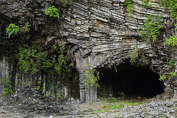 포토 JPG 주간 나무 식물 백그라운드 자연 사람없음 야외 암석 바위 동굴 국내포토 자연요소 돌_바위 생태계 파일형식