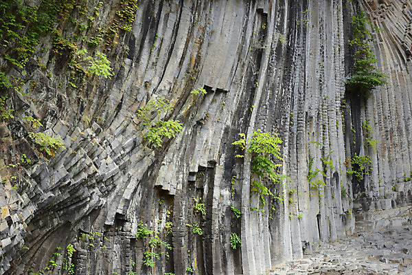 포토 JPG 주간 나무 식물 백그라운드 자연 사람없음 야외 암석 바위 국내포토 자연요소 돌_바위 생태계 파일형식
