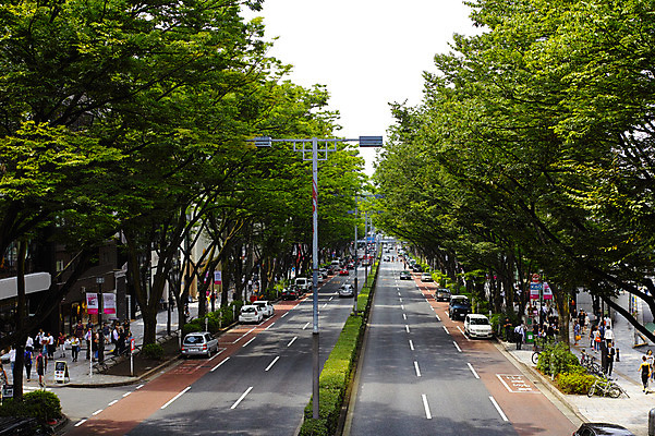 포토 JPG 주간 나무 도로 자동차 거리 거리풍경 사람 풍경 여러명 야외 도시풍경 일본 원근감 도시 보행자 군중 가로수 국내포토 자연요소 식물 아시아 길 육상교통 뷰포인트 다수 교통시설 파일형식