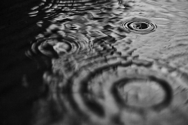 포토 JPG 주간 백그라운드 자연 풍경 근접촬영 사람없음 야외 아웃포커스 물 일본 비 빗방울 국내포토 자연요소 아시아 뷰포인트 날씨 촬영기법 비_날씨 생태계 파일형식