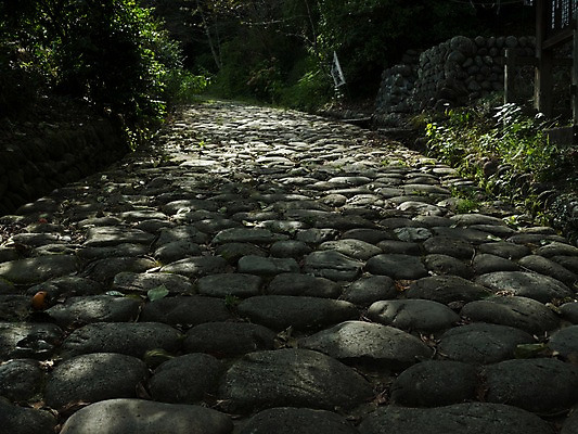 포토 JPG 주간 나무 길 자연 풍경 사람없음 야외 일본 산책로 원근감 돌_바위 숲 숲길 국내포토 자연요소 식물 아시아 뷰포인트 생태계 파일형식
