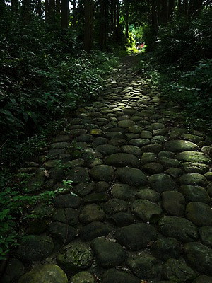 포토 JPG 주간 나무 길 자연 풍경 사람없음 야외 일본 산책로 원근감 돌_바위 숲 숲길 국내포토 자연요소 식물 아시아 뷰포인트 생태계 파일형식