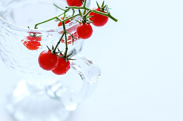 포토 JPG 음식 채소 방울토마토 근접촬영 사람없음 아웃포커스 컵 신선 국내포토 식기 뷰포인트 토마토 촬영기법 파일형식