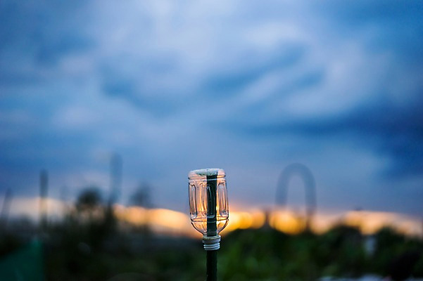 포토 JPG 주간 구름 하늘 풍경 사람없음 야외 아웃포커스 일본 페트병 말뚝 국내포토 자연요소 아시아 촬영기법 병_담는 파일형식