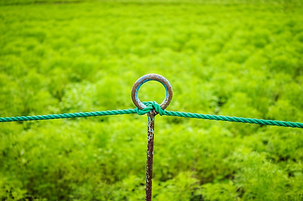 포토 JPG 주간 밧줄 백그라운드 자연 풍경 초원 사람없음 야외 아웃포커스 초록색 울타리 일본 고리 쇠말뚝 국내포토 자연요소 아시아 줄 컬러 촬영기법 담장 생태계 파일형식