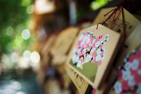 포토 JPG 주간 일본문화 전통소품 풍경 사람없음 야외 목재 아웃포커스 일본 사찰 일본전통 소원 미신 에마 국내포토 자연요소 나무 동양문화 전통 아시아 외국문화 재료 종교건축 촬영기법 오브젝트 파일형식