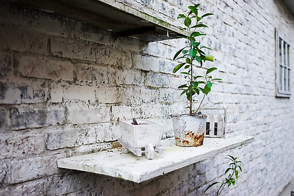 포토 JPG 주간 화분 벽 창문 벽돌 선반 주택 거리풍경 풍경 사람없음 야외 도시풍경 일본 도시 벽돌집 국내포토 자연요소 아시아 가구 거리 건물 파일형식