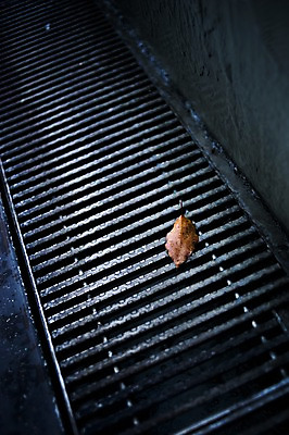 포토 JPG 주간 백그라운드 낙엽 나뭇잎 풍경 사람없음 야외 도시풍경 일본 가을 도시 하수구 배수구 국내포토 자연요소 시설물 계절 아시아 잎 파일형식