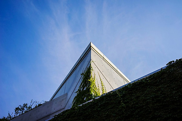 포토 JPG 주간 구름 로우앵글 하늘 풍경 빌딩 사람없음 야외 도시풍경 일본 도시 모서리 담쟁이덩굴 국내포토 자연요소 아시아 뷰포인트 건물 덩굴 파일형식