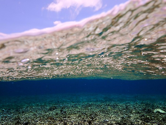 포토 JPG 구름 바다 자연 하늘 풍경 사람없음 물 바닷속 수중 수중사진 국내포토 자연요소 생태계 파일형식