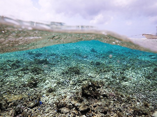 포토 JPG 구름 바다 자연 하늘 풍경 사람없음 물 바닷속 수중 선박 수중사진 국내포토 자연요소 수상교통 생태계 파일형식