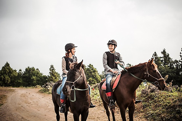 포토 JPG 주간 전신 커플 여자 남자 커플라이프 미소 20대 성인 야외 두명 앞모습 제주도 한국인 가을 말_동물 체험 승마 승차 즐거움 성읍랜드 국내포토 자연요소 라이프스타일 계절 감정 스포츠 뷰포인트 컨셉 포유류 관계 모션 한국 표정 사람 동양인 청년 파일형식
