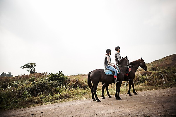 포토 JPG 주간 전신 커플 여자 남자 커플라이프 20대 성인 야외 두명 옆모습 제주도 한국인 가을 말_동물 체험 승마 승차 즐거움 성읍랜드 국내포토 자연요소 라이프스타일 계절 감정 스포츠 뷰포인트 컨셉 포유류 관계 모션 한국 사람 동양인 청년 파일형식