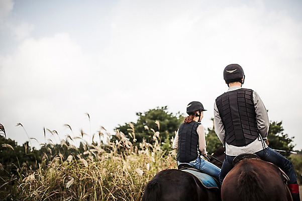 포토 JPG 주간 커플 여자 남자 커플라이프 상반신 20대 성인 야외 두명 뒷모습 제주도 한국인 가을 말_동물 체험 승마 승차 즐거움 성읍랜드 국내포토 자연요소 라이프스타일 계절 감정 스포츠 뷰포인트 컨셉 포유류 관계 모션 한국 사람 동양인 청년 파일형식
