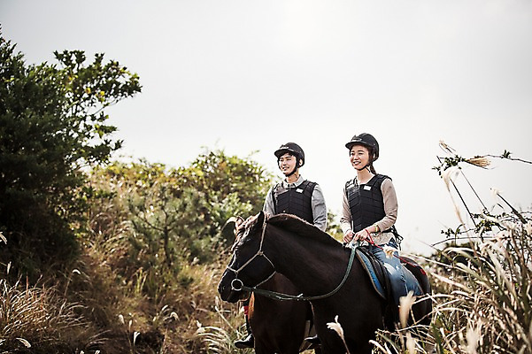 포토 JPG 주간 커플 여자 남자 커플라이프 미소 상반신 20대 성인 야외 두명 앞모습 제주도 한국인 가을 말_동물 체험 승마 승차 즐거움 성인만 성읍랜드 국내포토 자연요소 라이프스타일 계절 감정 스포츠 뷰포인트 컨셉 포유류 관계 모션 한국 표정 사람 동양인 청년 파일형식