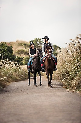 포토 JPG 주간 전신 커플 여자 남자 커플라이프 미소 20대 성인 야외 두명 앞모습 제주도 한국인 가을 말_동물 체험 승마 승차 즐거움 억새 성읍랜드 국내포토 자연요소 식물 라이프스타일 계절 감정 스포츠 뷰포인트 컨셉 포유류 관계 모션 한국 표정 사람 동양인 청년 파일형식