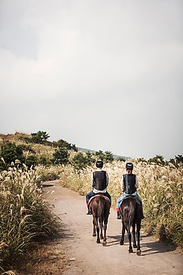 포토 JPG 주간 전신 커플 여자 남자 커플라이프 20대 성인 야외 두명 뒷모습 제주도 한국인 가을 말_동물 체험 승마 승차 즐거움 억새 성인만 성읍랜드 국내포토 자연요소 식물 라이프스타일 계절 감정 스포츠 뷰포인트 컨셉 포유류 관계 모션 한국 사람 동양인 청년 파일형식