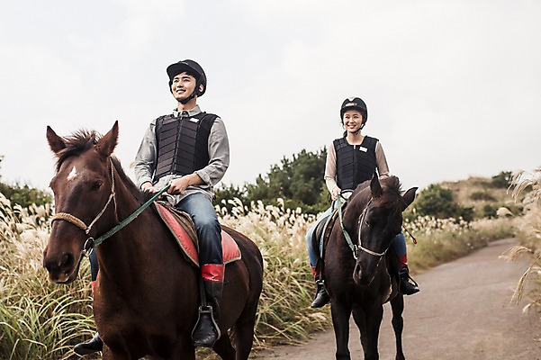 포토 JPG 주간 전신 커플 여자 남자 커플라이프 미소 20대 성인 야외 두명 앞모습 제주도 한국인 가을 말_동물 체험 승마 승차 즐거움 성인만 성읍랜드 국내포토 자연요소 라이프스타일 계절 감정 스포츠 뷰포인트 컨셉 포유류 관계 모션 한국 표정 사람 동양인 청년 파일형식