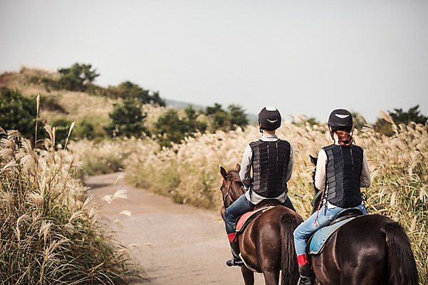 포토 JPG 주간 전신 커플 여자 남자 커플라이프 20대 성인 야외 두명 뒷모습 제주도 한국인 가을 말_동물 체험 승마 승차 즐거움 억새 성인만 성읍랜드 국내포토 자연요소 식물 라이프스타일 계절 감정 스포츠 뷰포인트 컨셉 포유류 관계 모션 한국 사람 동양인 청년 파일형식